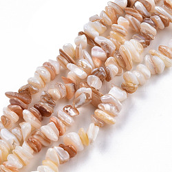 Natural Freshwater Shell Beads Strands, Nuggets Chips, 5~11x4~7x2~5mm, Hole: 0.8mm, about 291~313pcs/strand, 31.10 inch~31.50 inch(79~80cm)(SHEL-N026-210)