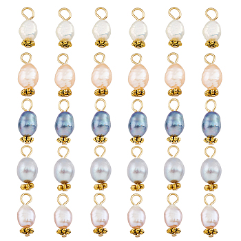 30Pcs 5 Colors Natural Freshwater Shell Rice Charms, with Golden Tone 304 Stainless Steel Loops, Mixed Color, 14~15x4.5~6mm, Hole: 2mm, 6pcs/color