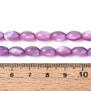brins de perles de coquillages naturels de troca(X-SHEL-K006-19-01D)-4