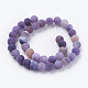 Natural Weathered Agate Beads Strands(G-G589-10mm-M)-2