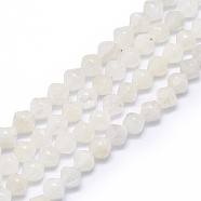 Natural Rainbow Moonstone Beads Strands, Faceted, Bicone, 8x7.5mm, Hole: 1mm, about 48pcs/strand, 15.55 inch(39.5cm)(G-F715-018)