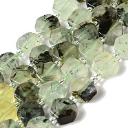 Natural Prehnite Beads Strands, Hexagon, with Seed Beads, 8.5~9x8.5~10x4~5mm, Hole: 1mm, about 17~18pcs/strand, 7.48''(19cm)(G-P534-A01-01)