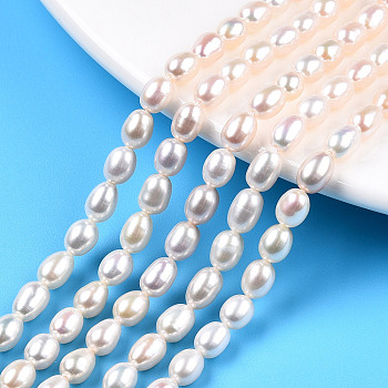 Natural Cultured Freshwater Pearl Beads Strands, Rice, Creamy White, 5.5~7x4.5mm, Hole: 0.6mm, about 55 pcs/strand, 13.58 inch (34.5cm)