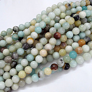 Natural Flower Amazonite Beads Strands, Round, 6mm, Hole: 1mm, about 61pcs/strand, 15.5 inch(39.5cm)(X-G-G692-01-6mm)
