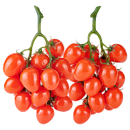 Mini Plastic Imitation Cherry Tomato, Artificial Fruit, for Home Decoration, Pretending Prop Decorations, Orange Red, 155x115x60mm(DJEW-WH0042-57)