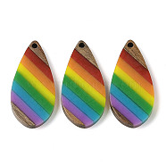 Pride Rainbow Theme Resin & Walnut Wood Pendants, Teardrop, Colorful, 38x18x3.5mm, Hole: 2mm(WOOD-K012-09A)