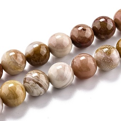 Natural Petrified Wood Beads Strands, Round, 10.5mm, Hole: 1.2mm, about 37pcs/strand, 15.55''(39.5cm)(G-O199-06C)