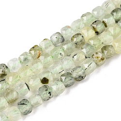 Natural Prehnite Beads Strands, Grade AB+, Faceted, Cube, 4~5x4~5x4~5mm, Hole: 0.8mm, about 92~105pcs/strand, 14.96~15.35 inch(38~39cm)(G-N342-124)