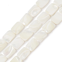 Natural Trochid Shell/Trochus Shell Beads Strands, Rectangle, 16x12x3.5mm, Hole: 0.7mm, about 24pcs/strand, 15.43 inch(39.2cm)(BSHE-G033-01)
