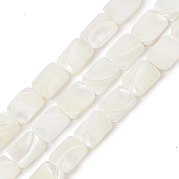 Natural Trochid Shell/Trochus Shell Beads Strands, Rectangle, 16x12x3.5mm, Hole: 0.7mm, about 24pcs/strand, 15.43 inch(39.2cm)