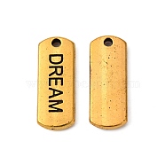 Tibetan Style Alloy Rectangle with Word Dream Pendants, Cadmium Free & Lead Free, Antique Golden, 8x21x2mm, Hole: 2mm, about 588pcs/1000g(TIBEP-Q043-065AG-RS)