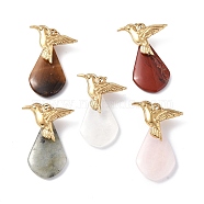 Natural Mixed Gemstone Pendants, Teardrop Charms, with Ion Plating(IP) Golden Tone 304 Stainless Steel Bird Findings, 38~38.5x24.5~25x8.5~9mm, Hole: 3mm(G-I343-01)