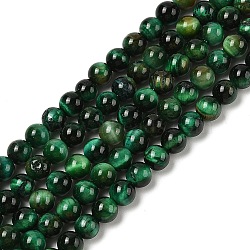 Natural Tiger Eye Beads Strands, Dyed & Heated, Round, Green, 6mm, Hole: 1.2mm, about 63~64pcs/strand, 14.69~15.24''(37.3~38.7cm)(G-B133-A02-6MM-02)