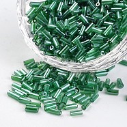 Tube Transparent Colours Pearl Luster Plated Round Hole Glass Bugle Beads, Green, 2~5x1.8~2mm, Hole: 0.8mm, about 12000pcs/450g(SEED-I001-107B)