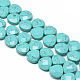 Synthetic Turquoise Beads Strands(G-T066-10)-1