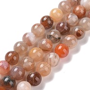 Natural Botswana Agate Beads Strands, Round, 10mm, Hole: 0.9mm, about 40pcs/strand, 15.75 inch(40cm)(G-G925-01A)
