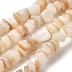 Natural Freshwater Shell Beads Strands, Nuggets, Seashell Color, 4~11x4.5~6x1~5mm, Hole: 1mm, 15.43~15.67''(39.2~39.8cm)(SHEL-B003-03)