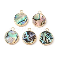 Natural Paua Shell Pendants, Flat Round Charms with Brass Edge, Golden, 18x14.5x3~4mm, Hole: 1.8mm(SHEL-P017-23G)