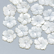 Natural White Shell Beads, Mother of Pearl Shell Beads, Flower, Seashell Color, 13.5x14x2mm, Hole: 1mm(SSHEL-S260-080)