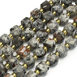 Natural Syenite Beads Strand, Faceted, Cube, 6.5~7.5x6.5~7.5x6.5~7.5mm, Hole: 1.2mm, about 43~44pcs/strand, 15.35''~15.55''(39~39.5cm)(G-I376-D17-01)