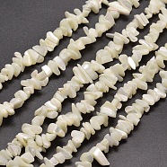 Natural White Mother of Pearl Shell Chip Bead Strands, Shell Shards, 5~15x5~8mm , Hole: 1mm, about 31.5 inch(G-M205-63)