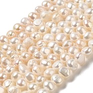 Natural Cultured Freshwater Pearl Beads Strands, Two Sides Polished, Grade 3A+, PapayaWhip, 4.5~5x6~6.5x4.5~5mm, Hole: 0.6mm, about 73~75pcs/strand, 14.84 inch(37.7cm)(PEAR-E017-03)