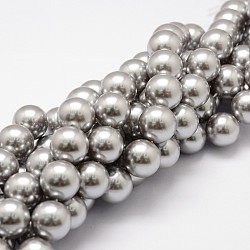 Shell Pearl Beads Strands, Grade A, Round, Gray, 10mm, Hole: 1mm, about 38pcs/strand, 15.5 inch(BSHE-L026-05-10mm)