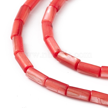 Natural Freshwater Shell Dyed Beads Strands(SHEL-M018-11-07)-3