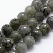 Natural Labradorite Beads Strands, Round, 8mm, Hole: 0.8mm, about 47pcs/strand,  14.96 inch(38cm)(G-I199-15-8mm)