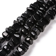 Natural Shungite Stone Beads Strands, Nuggets, 10~16x10~12.5x6.5~7mm, Hole: 1mm, about 63~64pcs/strand, 15.75~15.83 inch(40~40.2cm)(G-G925-04A)
