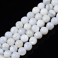 Natural Freshwater Shell Beads Strands, Dyed, Round, Seashell Color, 4mm, Hole: 0.4mm, about 99~100pcs/strand, 14.92inch~15.08 inch(37.9~38.3cm).(BSHE-T009B-01A)