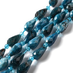 Natural Apatite Beads Strands, Faceted, Teardrop, 12~16.5x7.5~8.5mm, Hole: 0.8mm, about 20~21pcs/strand, 14.96~15.63''(38~39.7cm)(G-B028-A09)