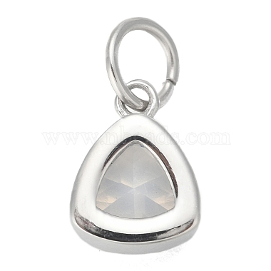 304 acier inoxydable zircon cubique pendentif(ZIRC-P080-B05)-2