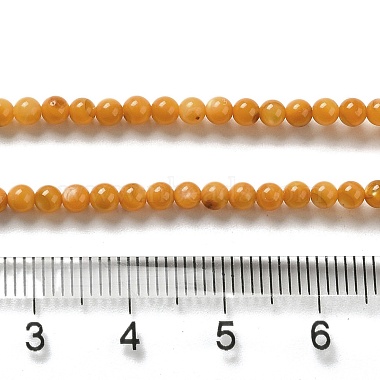 eau douce naturelle de coquillage perles brins(SHEL-H003-03E)-4