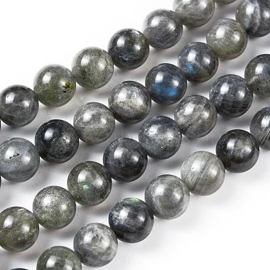 Grade AA Natural Gemstone Labradorite Round Beads Strands(G-E251-33-10mm)-4