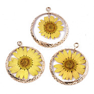 Transparent Clear Epoxy Resin & Dried Flower Pendants, with Edge Light Gold Plated Iron Loops, Flat Round, Yellow, 34x29x3.5mm, Hole: 2mm(X-RESI-S383-076A-A02)