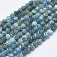 Natural Apatite Beads Strands, Faceted, Round, 5mm, Hole: 1mm, about 80pcs/strand, 15.3 inch(39cm)(G-F547-37-5mm)