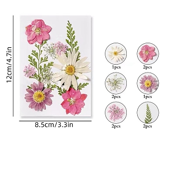 PET Waterproof Self Adhesive Dried Flower Stickers Sets, DIY Hand Bookmark Decoration Sticker, Flower, Hot Pink, 120x85mm