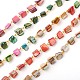 Handmade Sea Shell Beads Chains for Necklaces Bracelets Making(AJEW-JB00067)-1