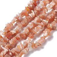 Natural Sunstone Chip Bead Strands, 5~8x5~8mm, Hole: 1mm, about 31.5 inch(G-M205-67)