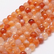 Natural Red Agate Beads Strands, Faceted, Round, 8mm, Hole: 1mm, about 44pcs/strand, 14.9 inch~15.1 inch(X-G-D840-34-8mm)