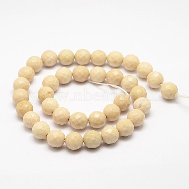 Natural Fossil Round Bead Strands(X-G-O151-02-10mm)-2