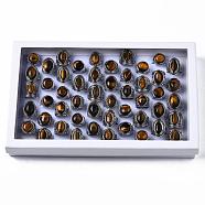 Natural Tiger Eye Rings, with Alloy Findings, Mixed Size, Mixed Shape, Antique Silver, 17~20mm, 50pcs/box(G-S242-10-B)