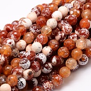 Dyed Natural Agate Faceted Round Beads Strands, Coral, 14mm, Hole: 1mm, about 28pcs/strand, 14.5 inch(G-E320C-14mm-06)