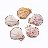Shell Pendants, with Iron Findinggs, Shell, Light Gold, 38.5~42x35~38x6.5~8mm, Hole: 1.6~1.8mm(SHEL-P075-01)