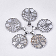 Freshwater Shell Pendants, with Alloy Findings, Dyed, Flat Round with Tree of Life, Platinum, Seashell Color, 37.5x33.5x3mm, Hole: 6x8.5mm(SHEL-S275-01B)