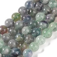 Natural Fluorite Beads Strands, Round, Grade AB, 10mm, Hole: 1.2mm, about 37~39pcs/strand, 14.69''(37.3cm)(G-P530-B04-04)
