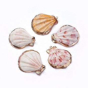 Shell Pendants, with Iron Findinggs, Shell, Light Gold, 38.5~42x35~38x6.5~8mm, Hole: 1.6~1.8mm