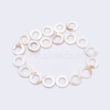 Natural Shell Beads Strands(X-BSHE-P026-26)-2