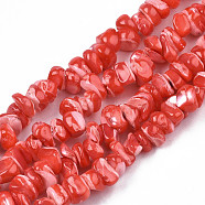 Natural Freshwater Shell Beads Strands, Dyed, Nuggets Chips, Red, 2.5~5.5x6~17.5x5~8mm, Hole: 0.8mm, about 92~112pcs/strand, 13.98 inch~16.14 inch(35.5~41cm)(SHEL-N003-23-B04)